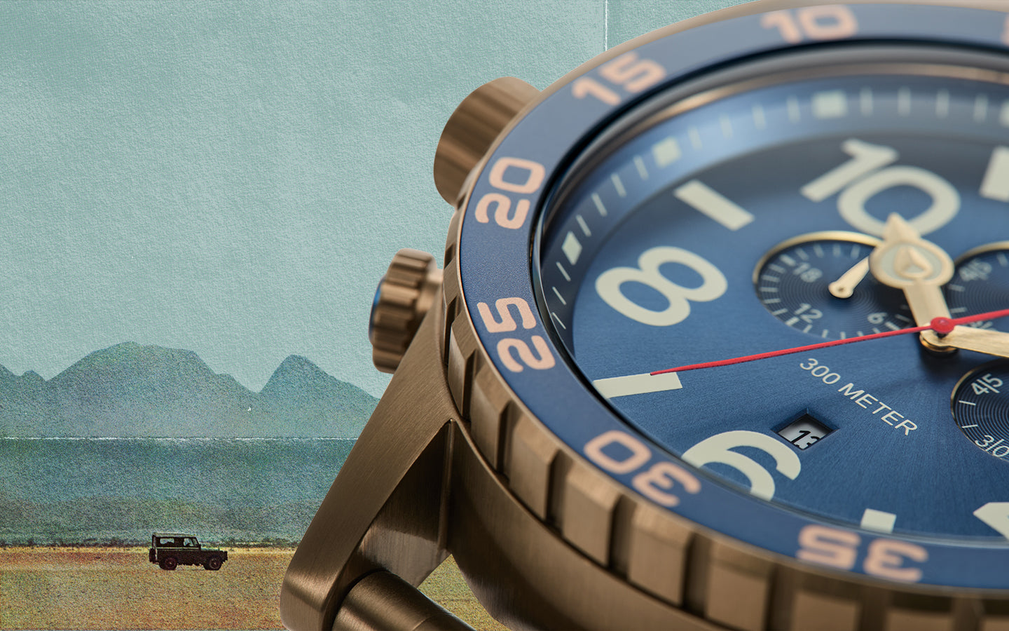 Close-up of a blue and bronze watch with a scenic background